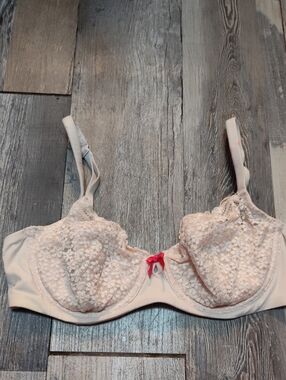 5/$25 SALE Victoria's Secret Lace Size 34D Underwire Bra Pale Pink Hot Pink Bow